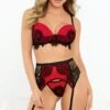 Embroidered Lace Appliques With A Push Up Bra Set