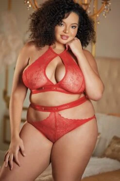 Allure Lace Halter Top & Backless Panty Set